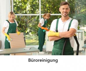 /assets/images/aleks/Images/Bueroreinigung-service.jpg