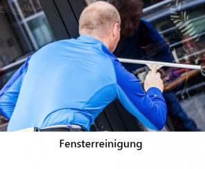 /assets/images/aleks/Images/fensterputzer-glas-reinigung-service.jpg