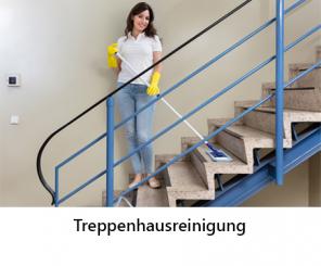 /assets/images/aleks/Images/treppenreinigung-service.jpg
